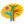 acaatinga.org.br