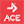 acefitness.org