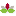 catcp.org