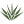 crt.org.mx