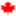 customwebsitescanada.ca