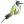davidgay.org