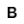 directinteractive.de