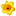 flowersandcandy.com