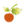 fruitthemes.com
