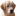 goldenretrieverfokkers.nl
