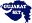 gujaratset.in