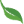 hobbyseeds.com