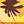hottropics.com
