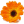 media99.com