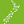 onehealth.org.nz