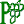 pdorf.at