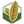 texasoakwilt.org