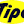 tipooil.com