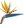 vinetype.com