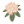 wvparks.com