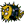 xenocara.org