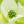 yamabohshi.net